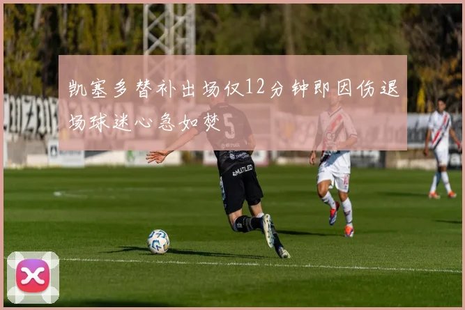 凯塞多替补出场仅12分钟即因伤退场球迷心急如焚